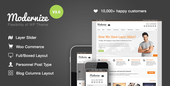 Modernize - Flexibility of WordPress screenshot